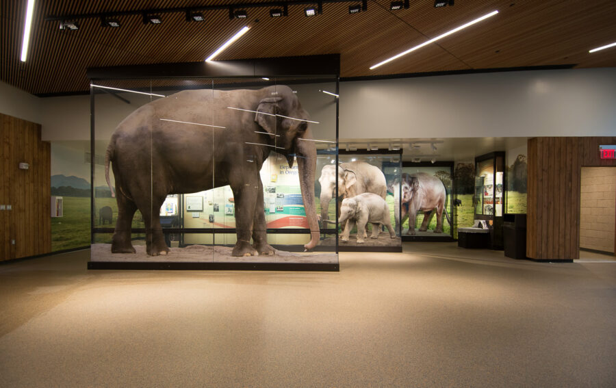 Oregon Zoo photo 3